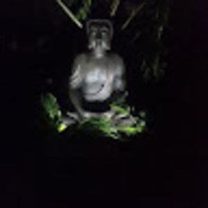 Meet your Posher, Janene